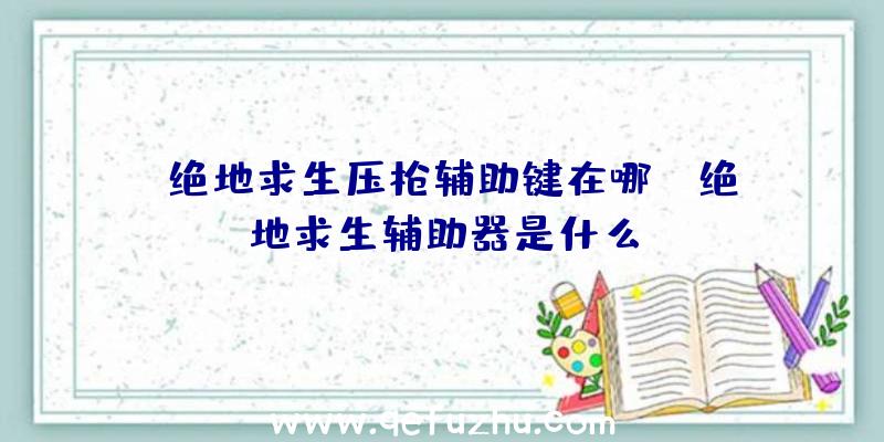 「绝地求生压枪辅助键在哪」|绝地求生辅助器是什么